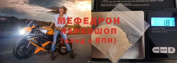 индика Заводоуковск