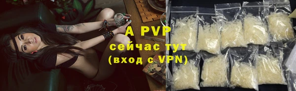 не бодяженный Нефтекумск