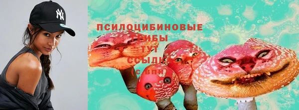 не бодяженный Нефтекумск